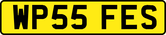 WP55FES