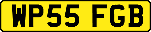WP55FGB