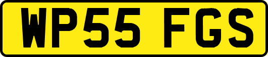 WP55FGS
