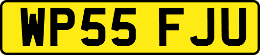 WP55FJU