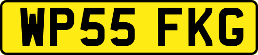 WP55FKG