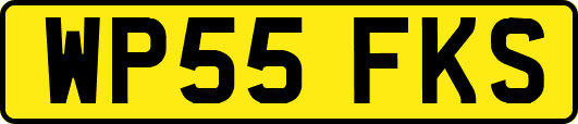 WP55FKS