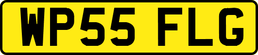 WP55FLG