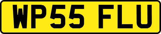 WP55FLU