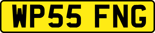 WP55FNG