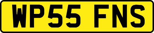 WP55FNS
