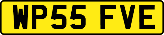 WP55FVE