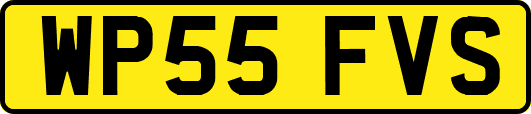 WP55FVS