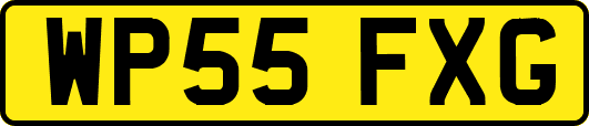 WP55FXG