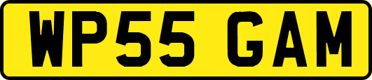 WP55GAM