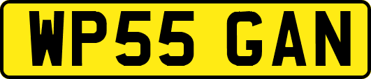 WP55GAN