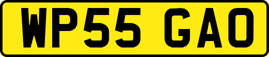 WP55GAO