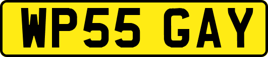 WP55GAY