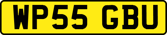 WP55GBU
