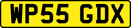 WP55GDX