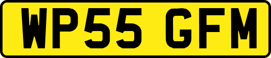 WP55GFM