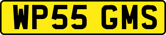 WP55GMS