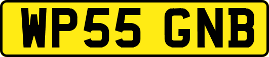 WP55GNB