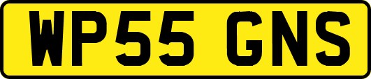 WP55GNS