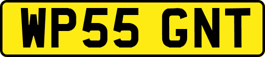WP55GNT