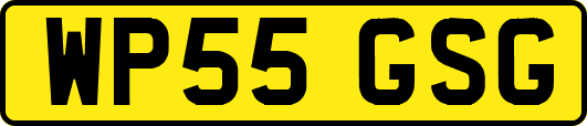 WP55GSG