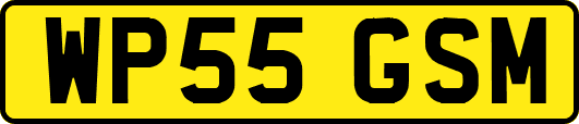 WP55GSM
