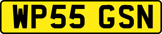 WP55GSN