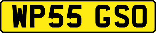 WP55GSO