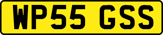 WP55GSS