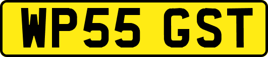 WP55GST