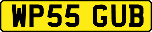 WP55GUB