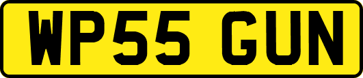 WP55GUN