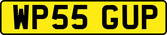 WP55GUP