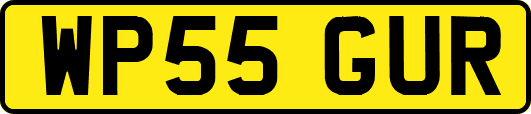WP55GUR