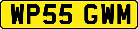 WP55GWM