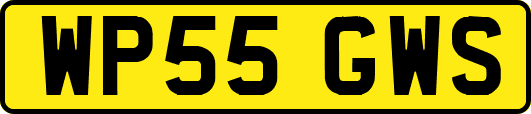 WP55GWS