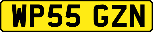 WP55GZN