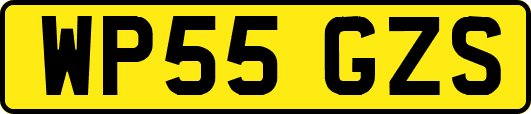 WP55GZS