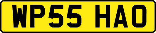 WP55HAO