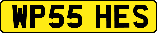 WP55HES