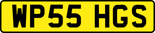 WP55HGS