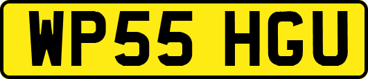 WP55HGU