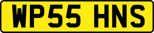 WP55HNS