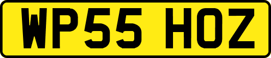 WP55HOZ