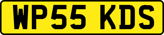 WP55KDS