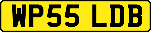 WP55LDB