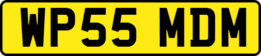 WP55MDM