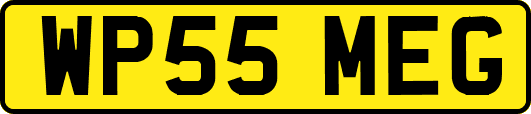 WP55MEG