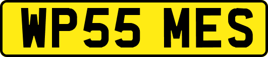 WP55MES