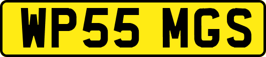 WP55MGS